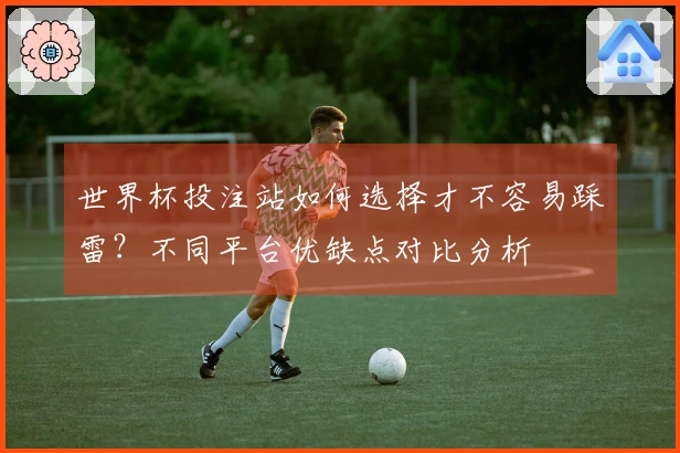 世界杯投注站如何选择才不容易踩雷？不同平台优缺点对比分析