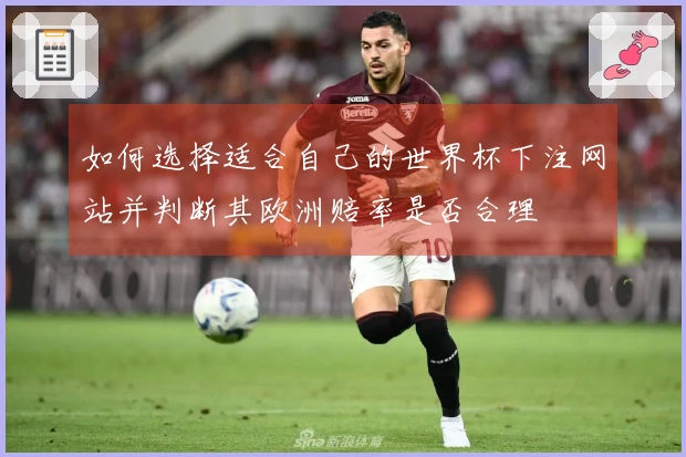 如何选择适合自己的世界杯下注网站并判断其欧洲赔率是否合理