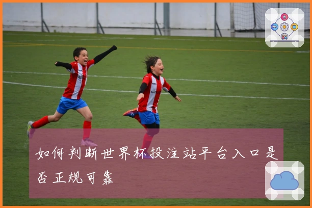 如何判断世界杯投注站平台入口是否正规可靠