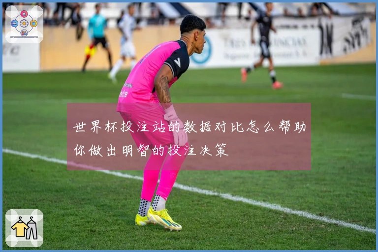 世界杯投注站的数据对比怎么帮助你做出明智的投注决策