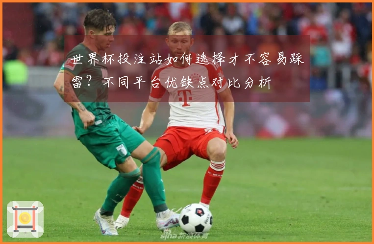 世界杯投注站如何选择才不容易踩雷？不同平台优缺点对比分析