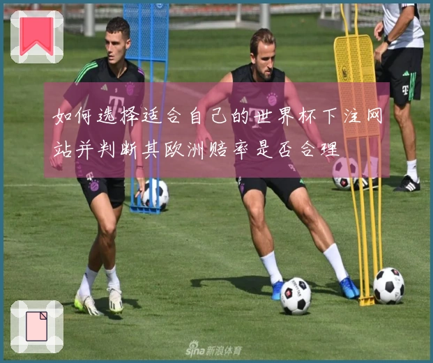 如何选择适合自己的世界杯下注网站并判断其欧洲赔率是否合理