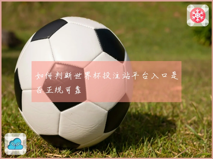 如何判断世界杯投注站平台入口是否正规可靠
