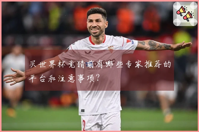 买世界杯竞猜前有哪些专家推荐的平台和注意事项？
